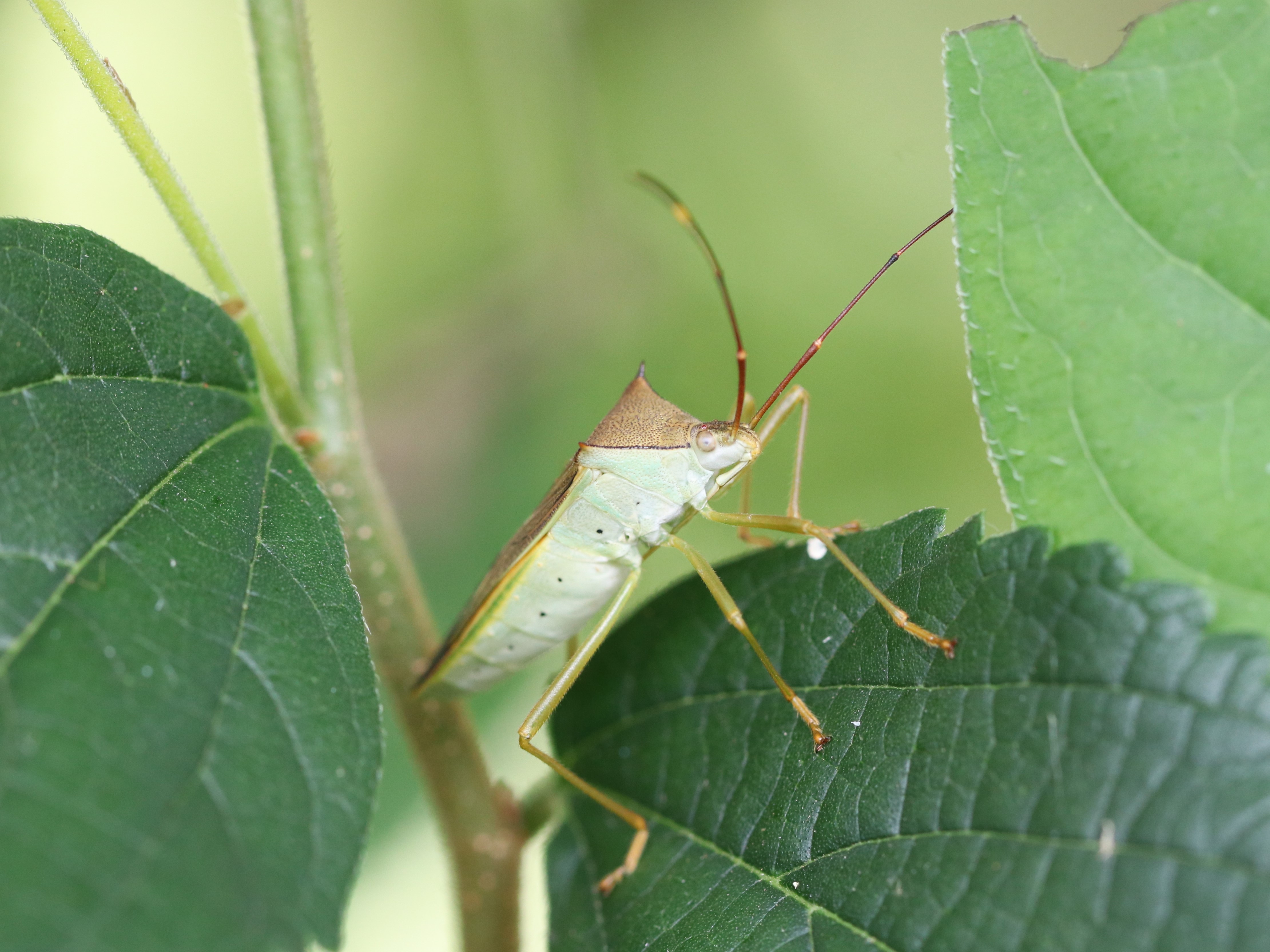 photo_1